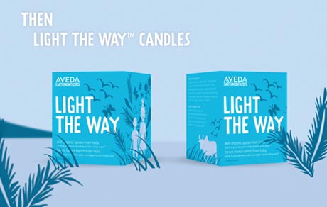 Irish Setter - Work Marshall