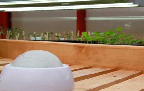 SmartThings - Trista & Rohith